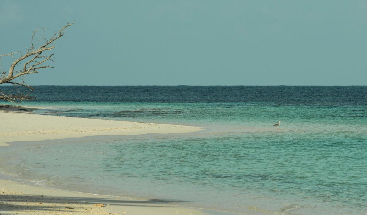 Four Seasons Resort Seychelles At Desroches Island Zewnętrze zdjęcie